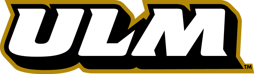 Louisiana-Monroe Warhawks 2006-Pres Wordmark Logo diy fabric transfer